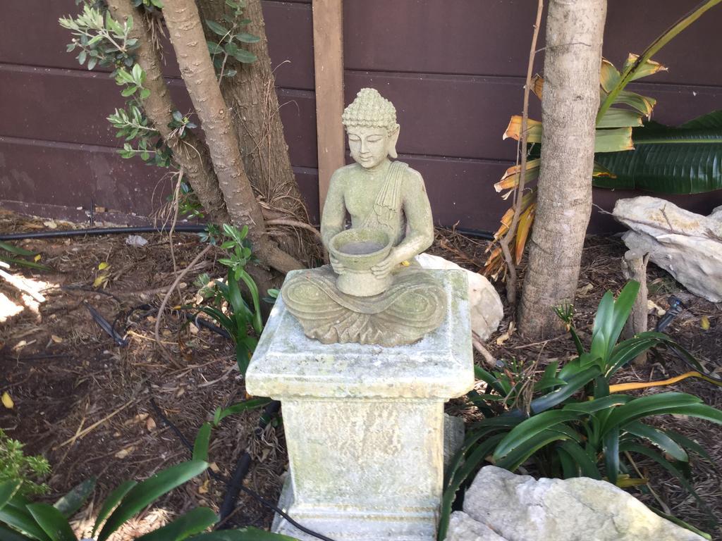 The Buddha Garden Fokváros Kültér fotó
